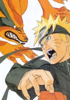 Naruto 17 (Small)